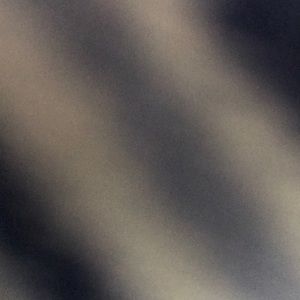 Meet your Posher, Mona